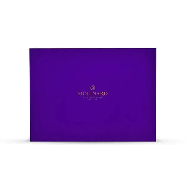 molinard-bo-te-cadeau-25-5-x-20-x-9-5-cm-l-art-d-offrir image 1