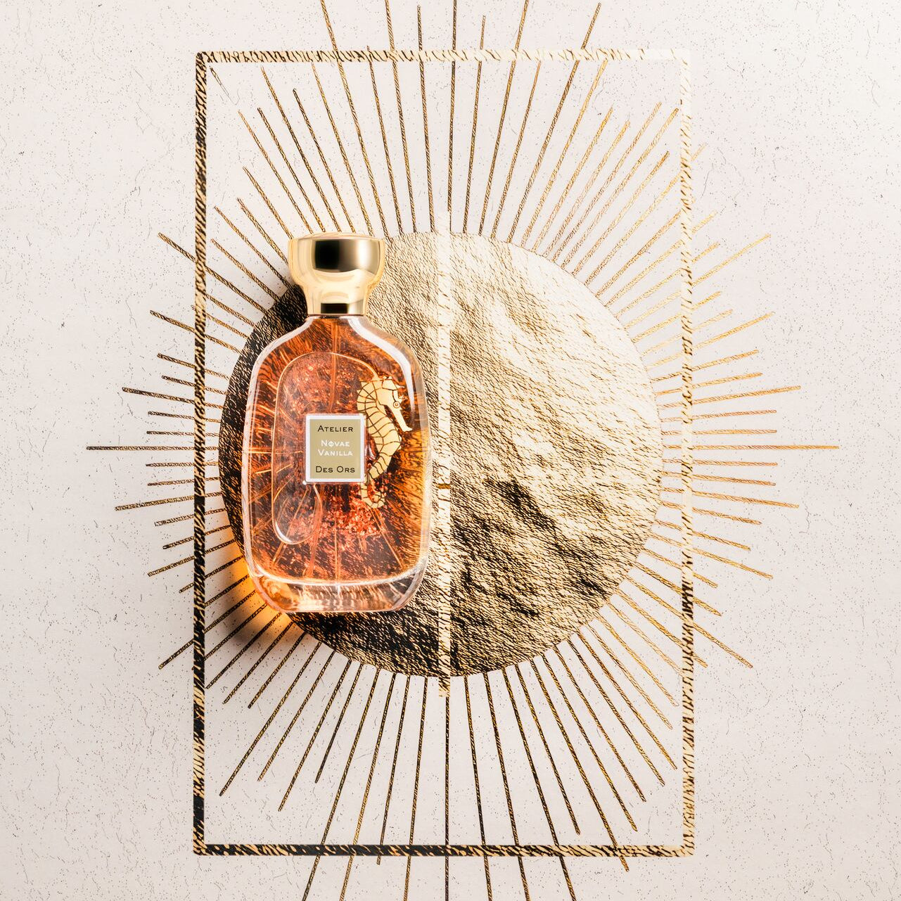 atelier-des-ors-novae-vanilla-extrait-eau-de-parfum-vanille-mimosa image 2