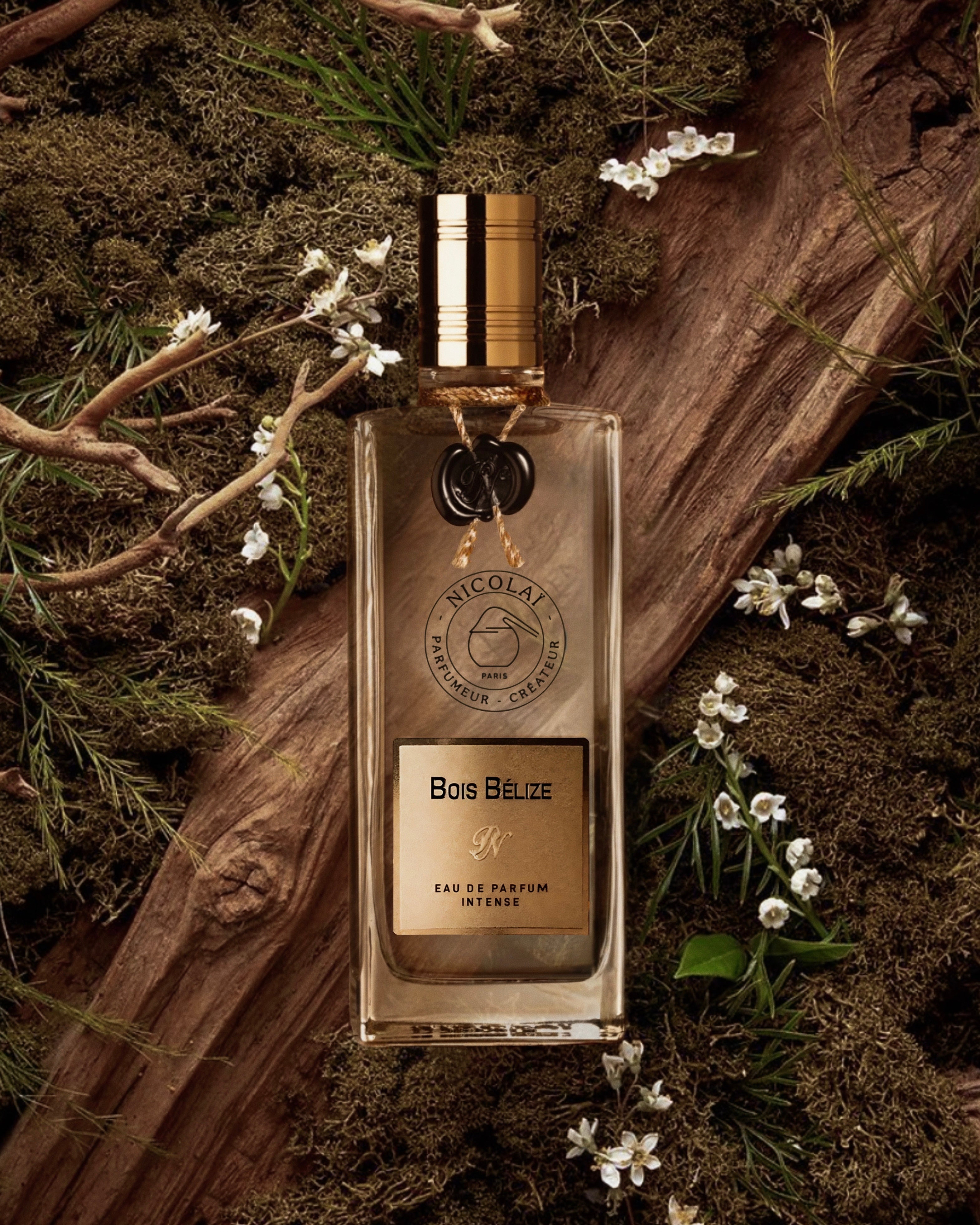 maison-nicola-bois-b-lize-eau-de-parfum-mixte-bois image 6