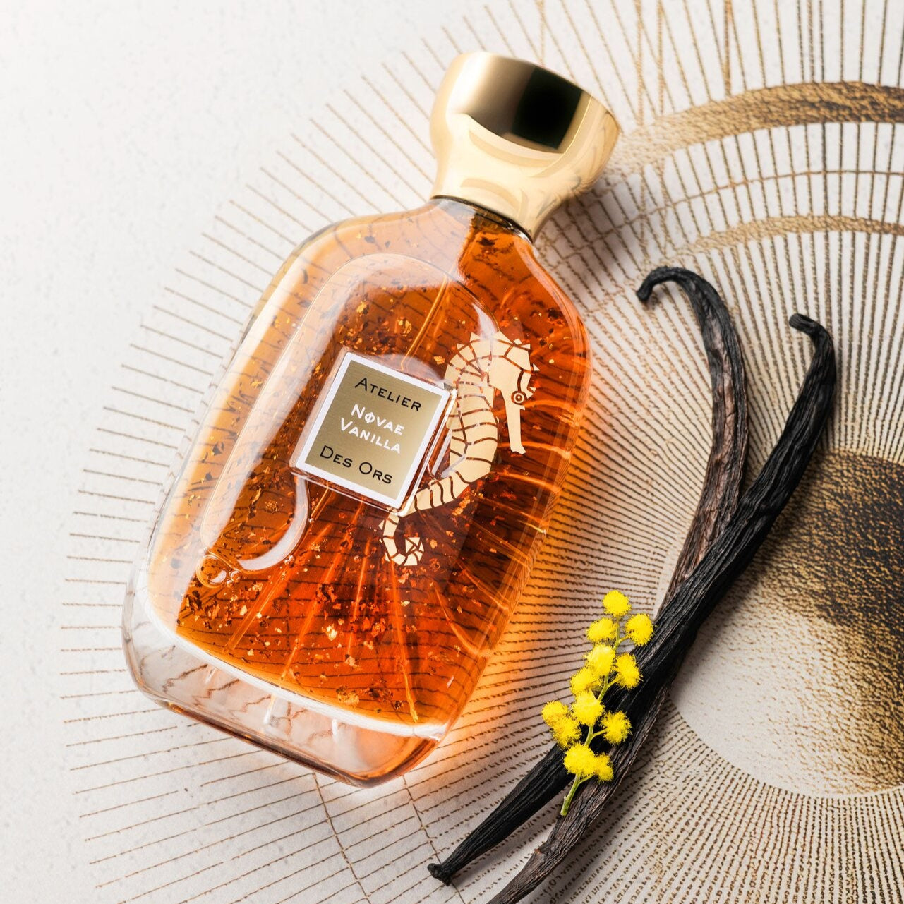 atelier-des-ors-novae-vanilla-extrait-eau-de-parfum-vanille-mimosa image 3